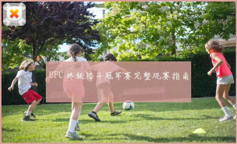 UFC 终极格斗冠军赛完整观赛指南