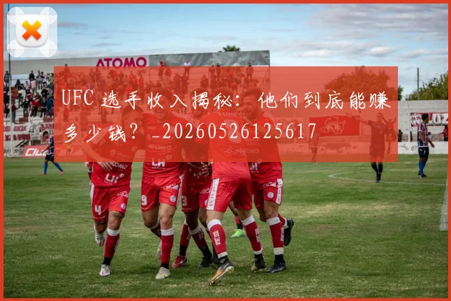 UFC 选手收入揭秘：他们到底能赚多少钱？_20260526125617