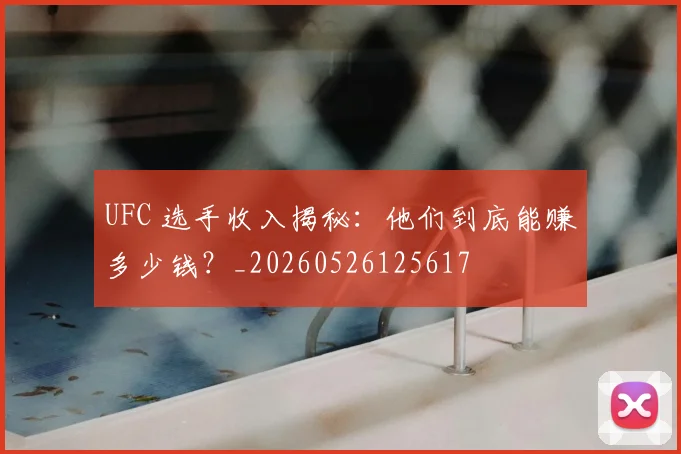 UFC 选手收入揭秘：他们到底能赚多少钱？_20260526125617